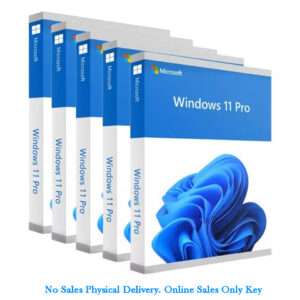 Windows 11 Pro OEM Key Online Activation for 1 PC